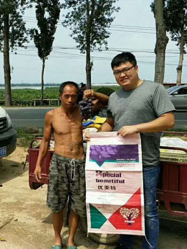 优美特特品肥效果展示