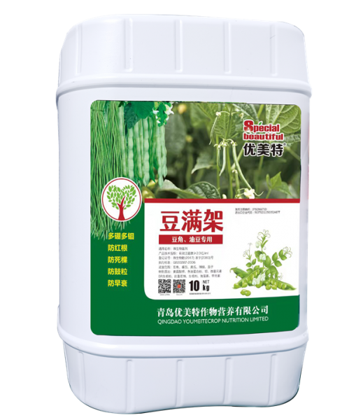 豆满架