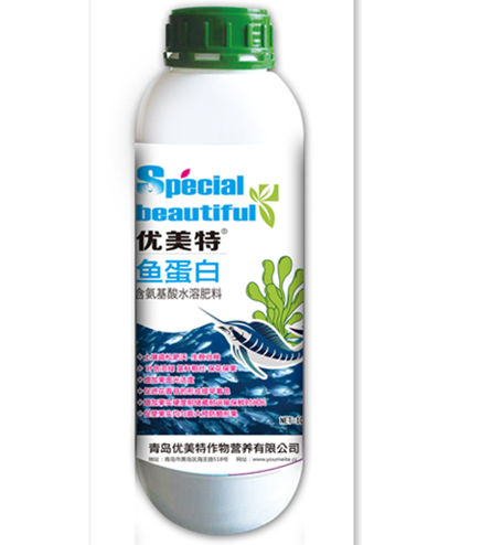 鱼蛋白