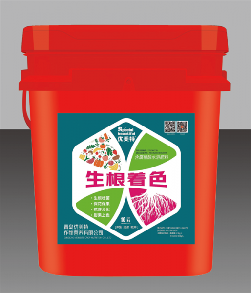 生根着色